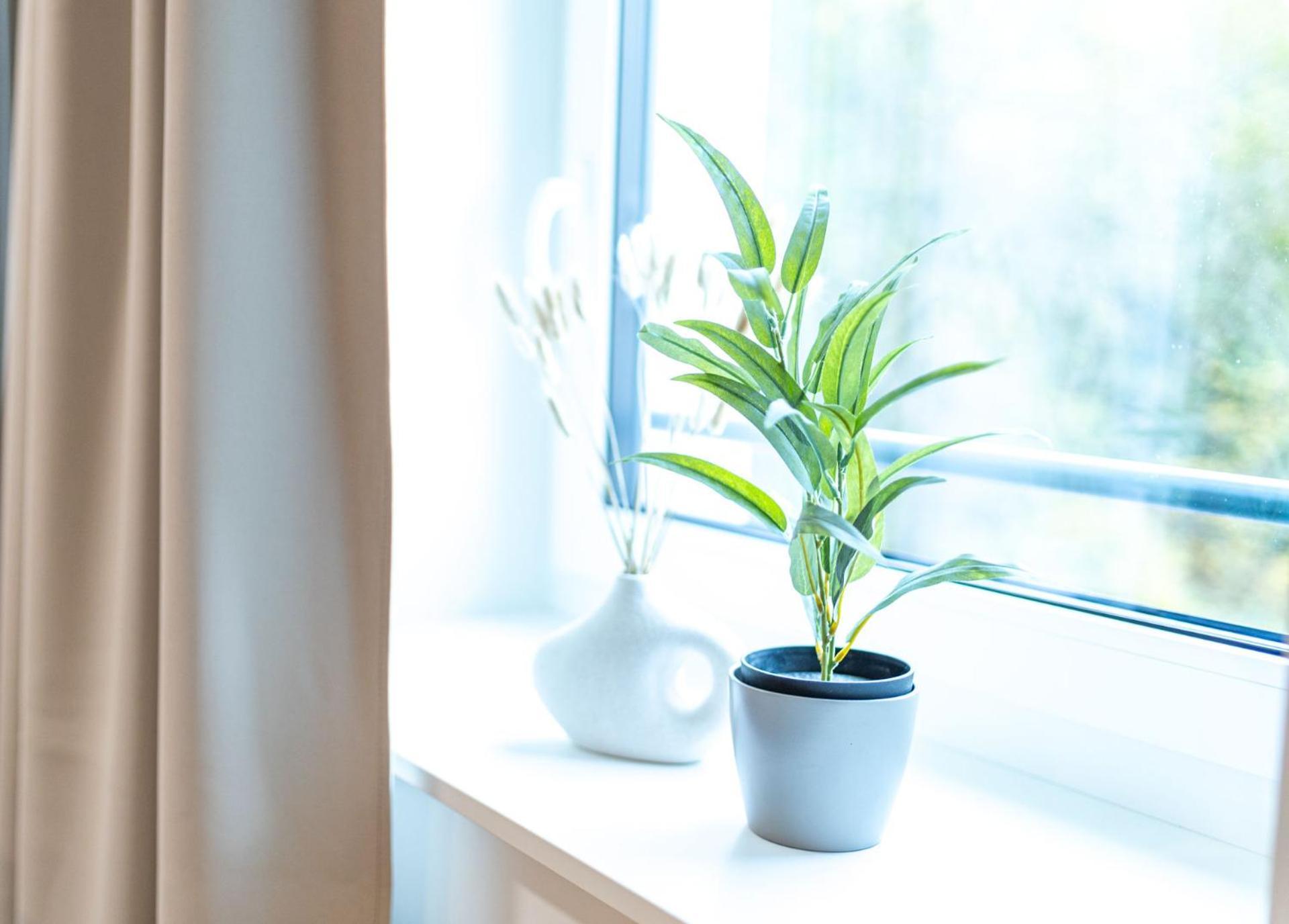 Dwellstay - City Apartments Fulda Ruang foto